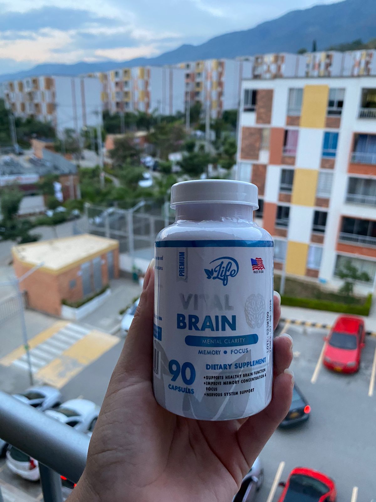Vital Brain (90 CÁPSULAS)