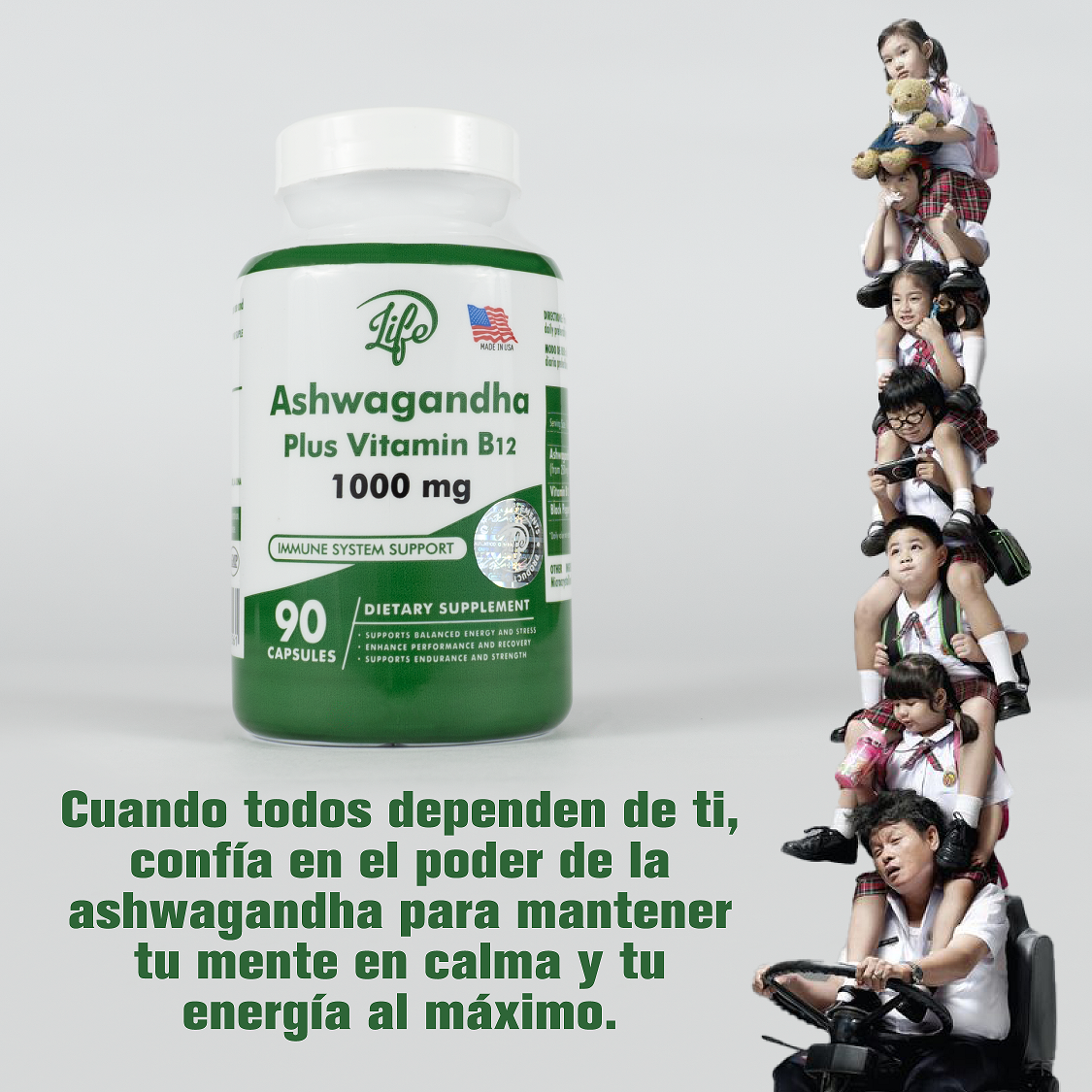 Ashwagandha (90 CAPSULAS)